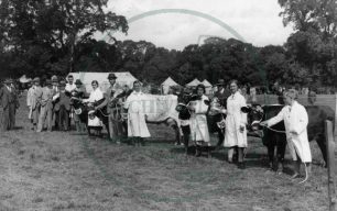 Agricultural Show, Bletchley