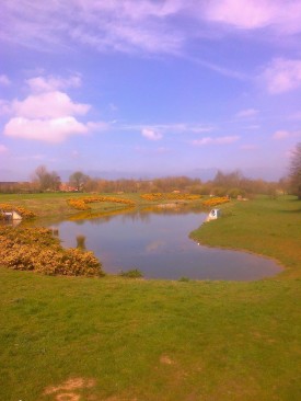 Stonepit Fields