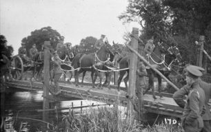 The Great War Remembered