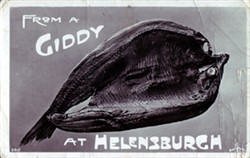 Photographic postcard "FROM A GIDDY AT HELENSBURGH"