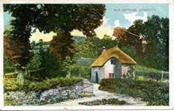 Photographic postcard "Old Cottage, Axmouth"