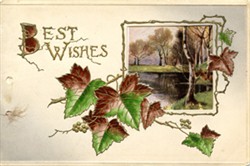 Illustrated postcard "BEST WISHES"