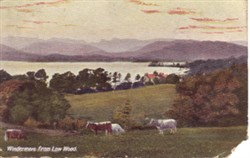 photographic postcard "Windermere from Low Wood"