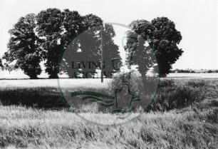 Photograph of Old Bradwell archaeological site (1971).