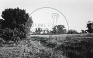 Photograph of farm at Loughton (1971).