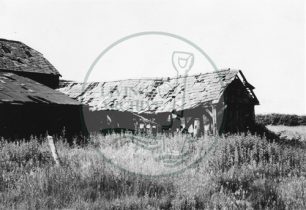 Photograph of derelict barn on land now Central Milton Keynes (1971).