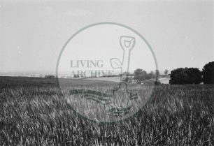 Photograph of farmland now Central Milton Keynes (1971).