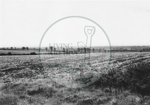 Photograph of farmland behind Old Bradwell (1971).