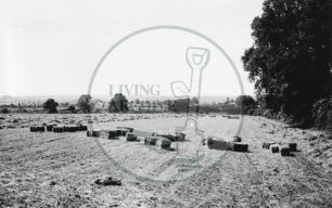Photograph of fields next to A5 road looking towards Stony Stratford (1971).