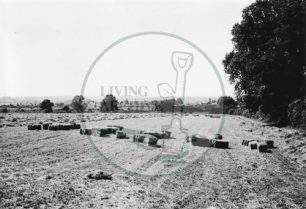 Photograph of fields next to A5 road looking towards Stony Stratford (1971).