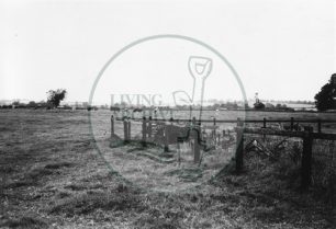 Photograph of fields between Milton Keynes and site of Central Milton Keynes (1971).