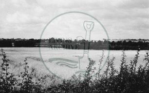 Photograph of fields between Milton Keynes and site of Central Milton Keynes (1971).