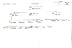 Family Tree, Brown B10 from B0.