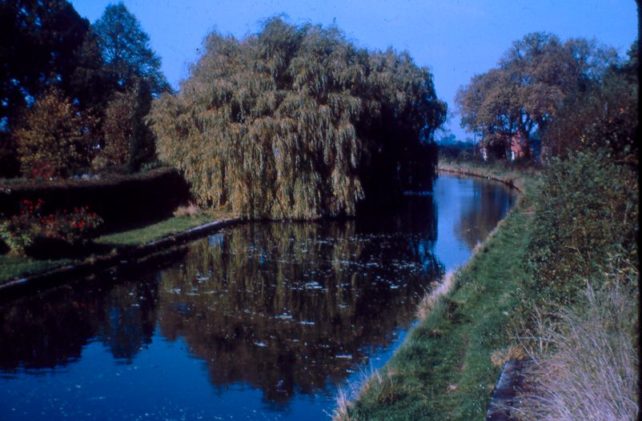 Grand Union Canal Simpson