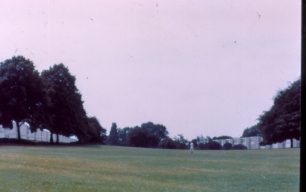 Netherfield Landscape