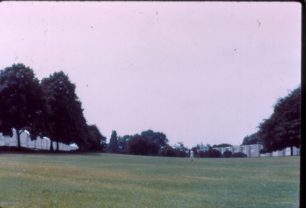 Netherfield Landscape