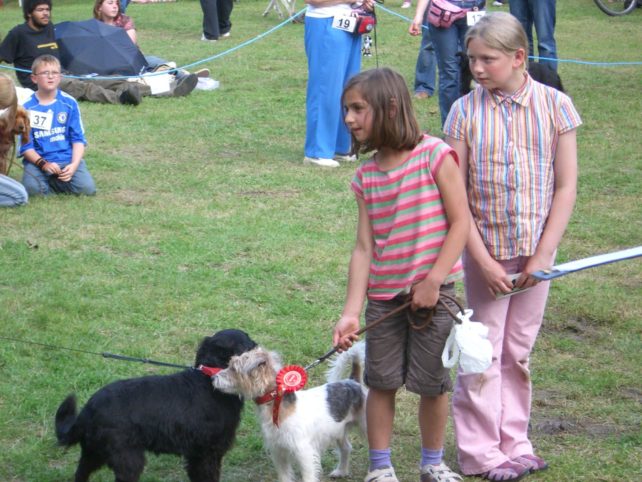 Dog show winner 2007