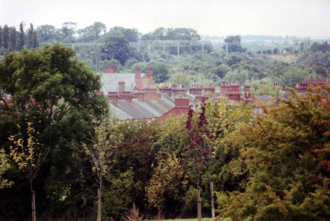 New Bradwell rooftops and trees