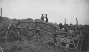 Haymaking in Common Lane, Old Bradwell.