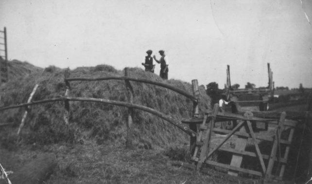 Haymaking in Common Lane