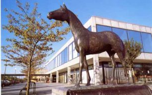 The Black Horse, Milton Keynes