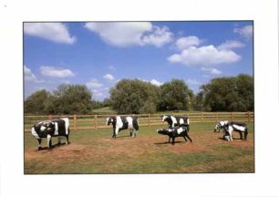 Concrete Cows, North Loughton Valley Park, Milton Keynes
