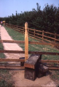 Carved pathway posts