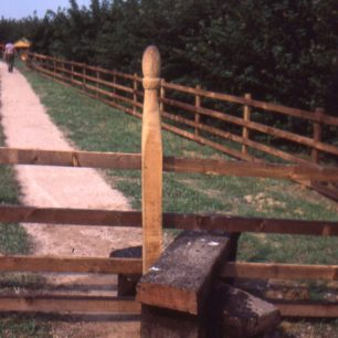 Carved pathway posts