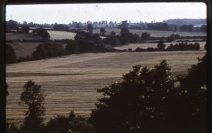 Fields and trees near Willen