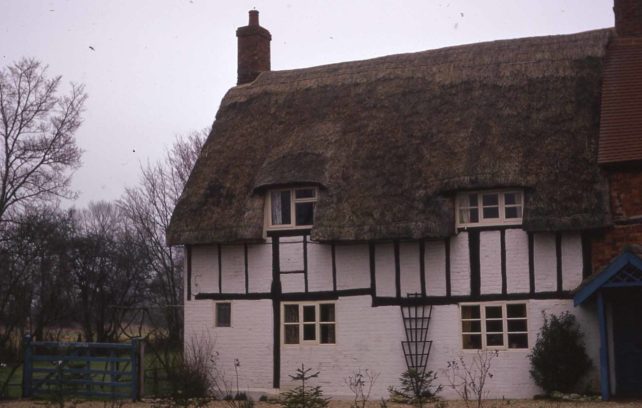 Half timbered thatched cottage