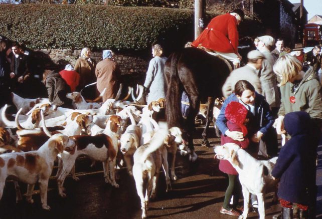 Fox hunt hounds and riders in the village