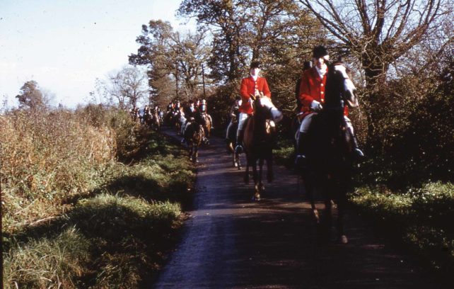 Fox hunt riders on a country lane