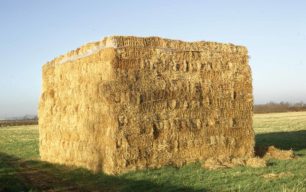 A stack of hay bales