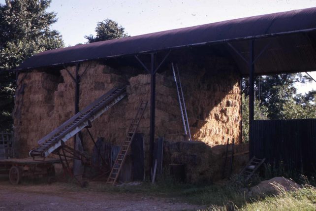 Dutch barn