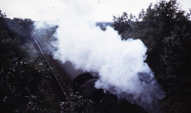 The steam train nicknamed Nobby Newport