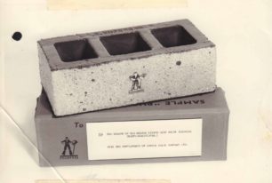 The prize for a Brick-Throwing Championship