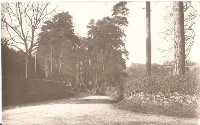 Road leading up to Great Brickhill