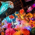 47: GREENLEYS FIRST SCHOOL LANTERNS 2018