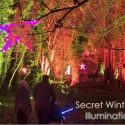 49:  SECRET GARDEN ILLUMINATIONS
