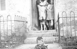 The Calverton Webbs