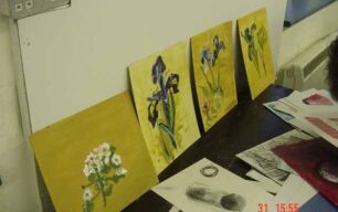 Flower painting - display of paintings