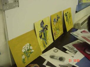 Flower painting - display of paintings