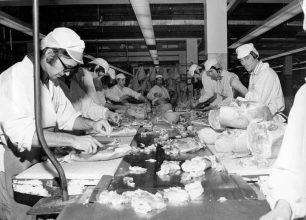 Dave Atkinson, front, and others, working on the ‘belt’ 