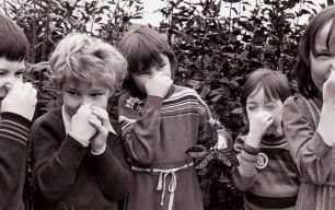 School children smelling a shrub