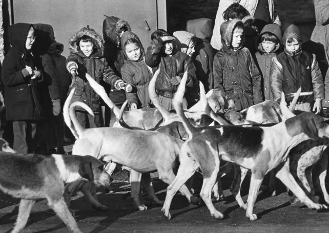 Children watch hounds from the Oakley Hunt