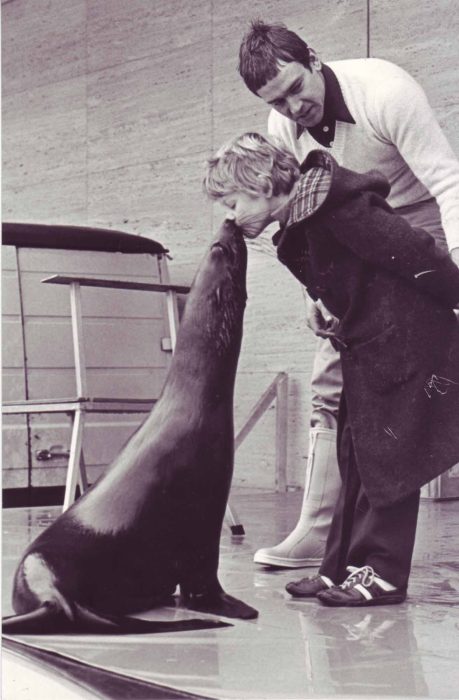 A child making friends with a seal