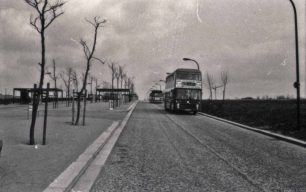 Two buses travelling on a Boulevard in CMK