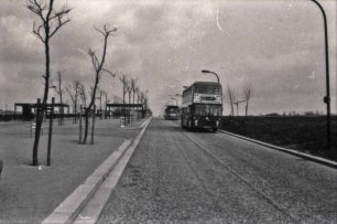 Two buses travelling on a Boulevard in CMK