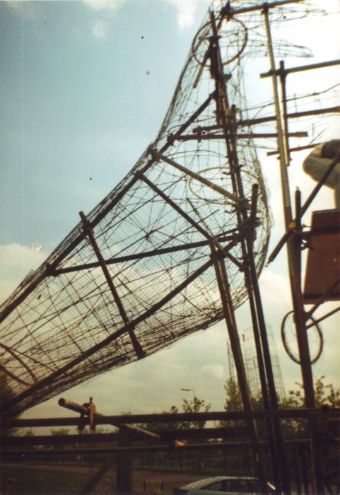 The Dinosaur Under Construction 2 - close-up of body