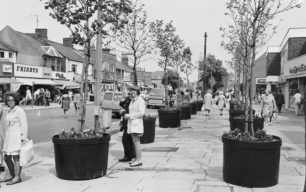 Queensway 1970s with trees in planters